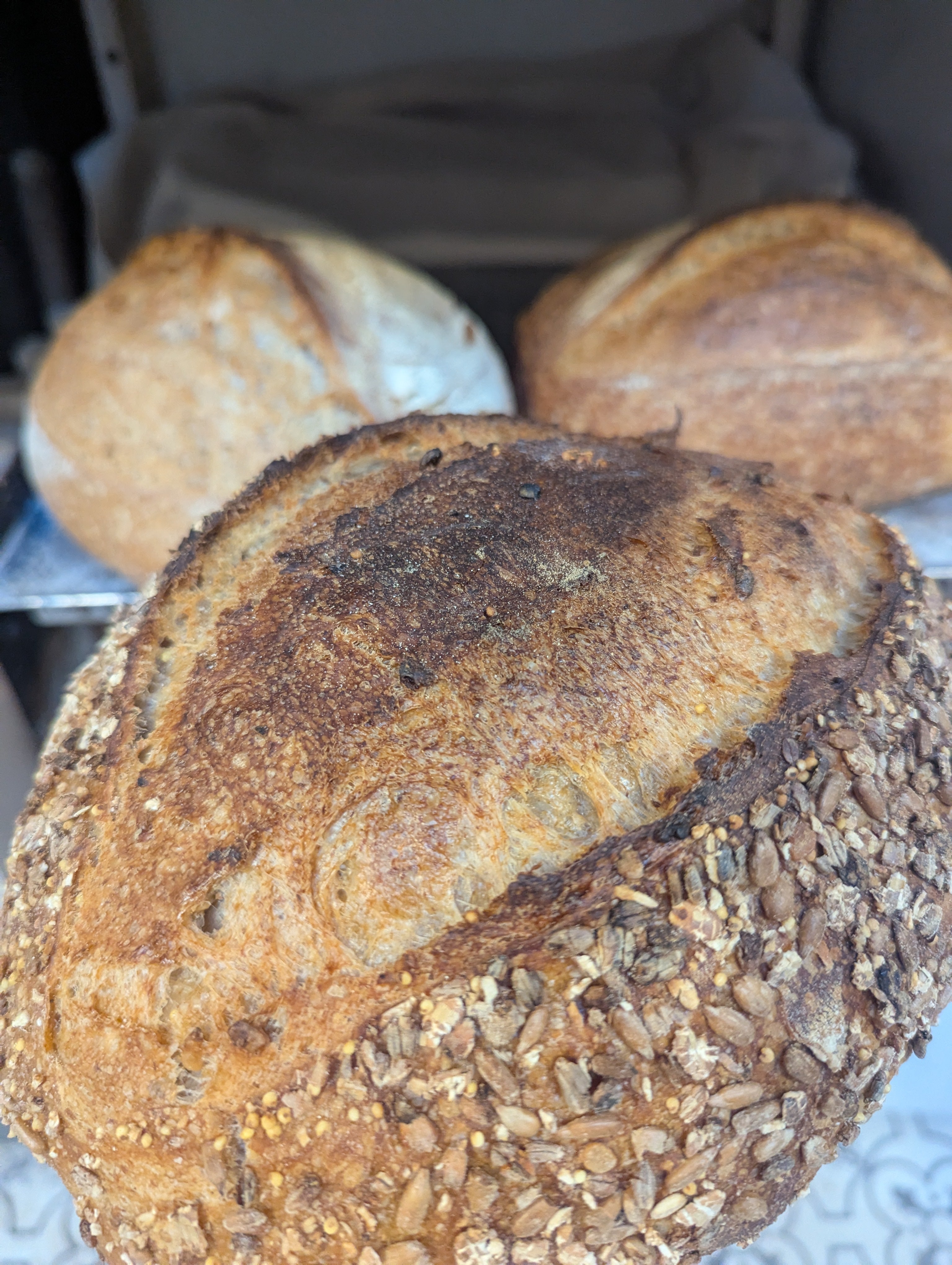 Seeded Sourdough loaf