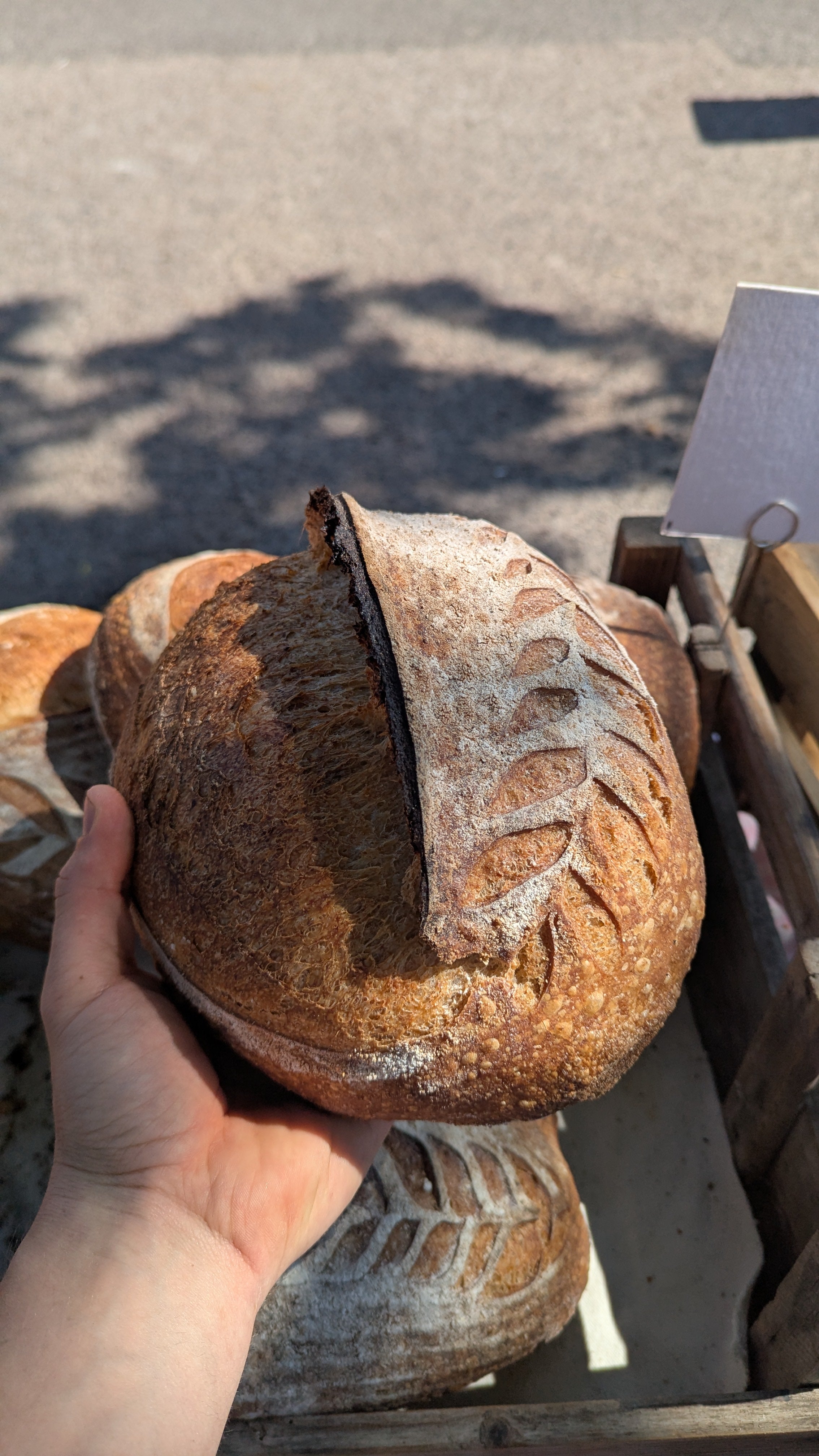 Country sourdough loaf